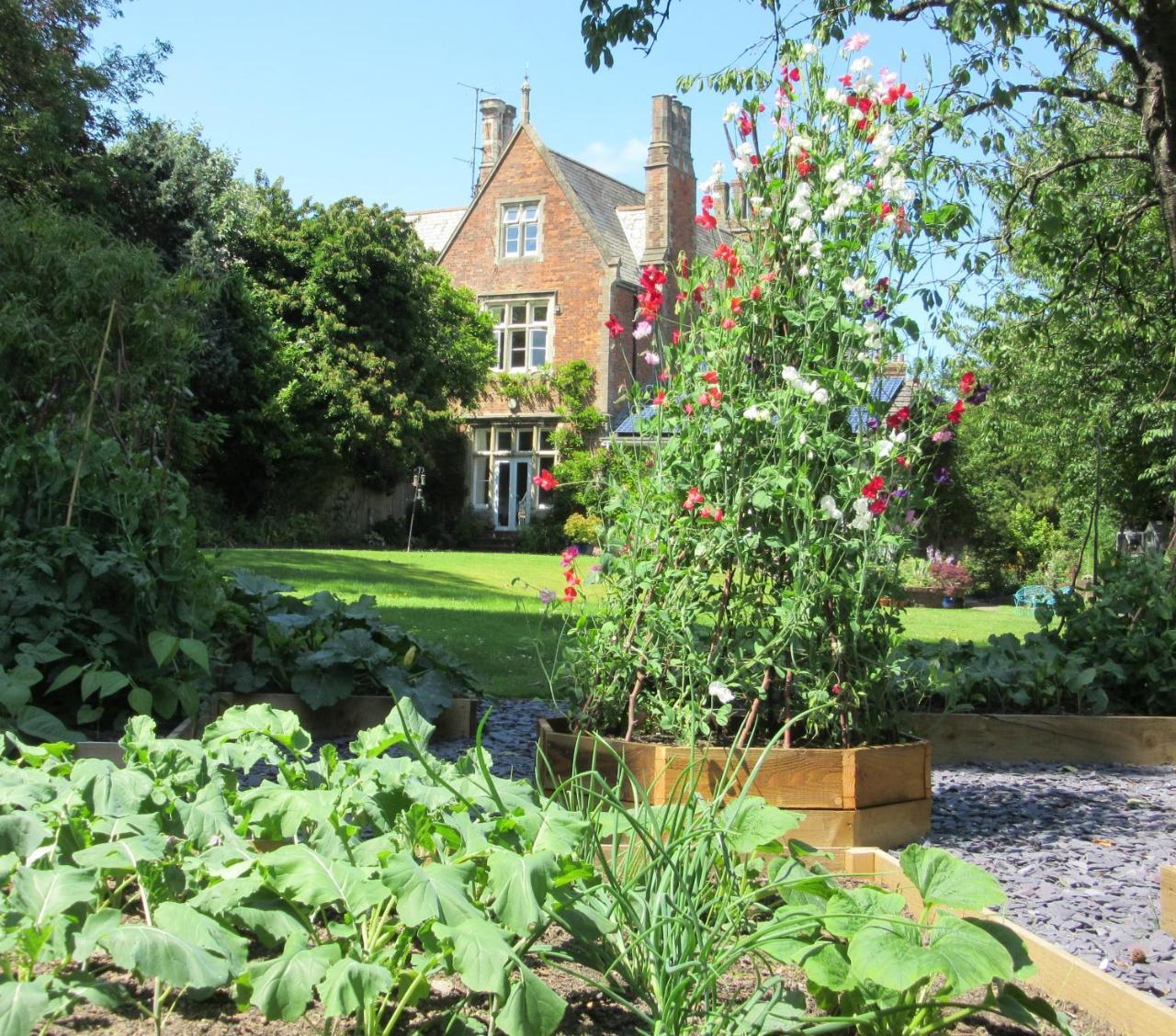 The Old Vicarage B & B Barnstaple Zewnętrze zdjęcie